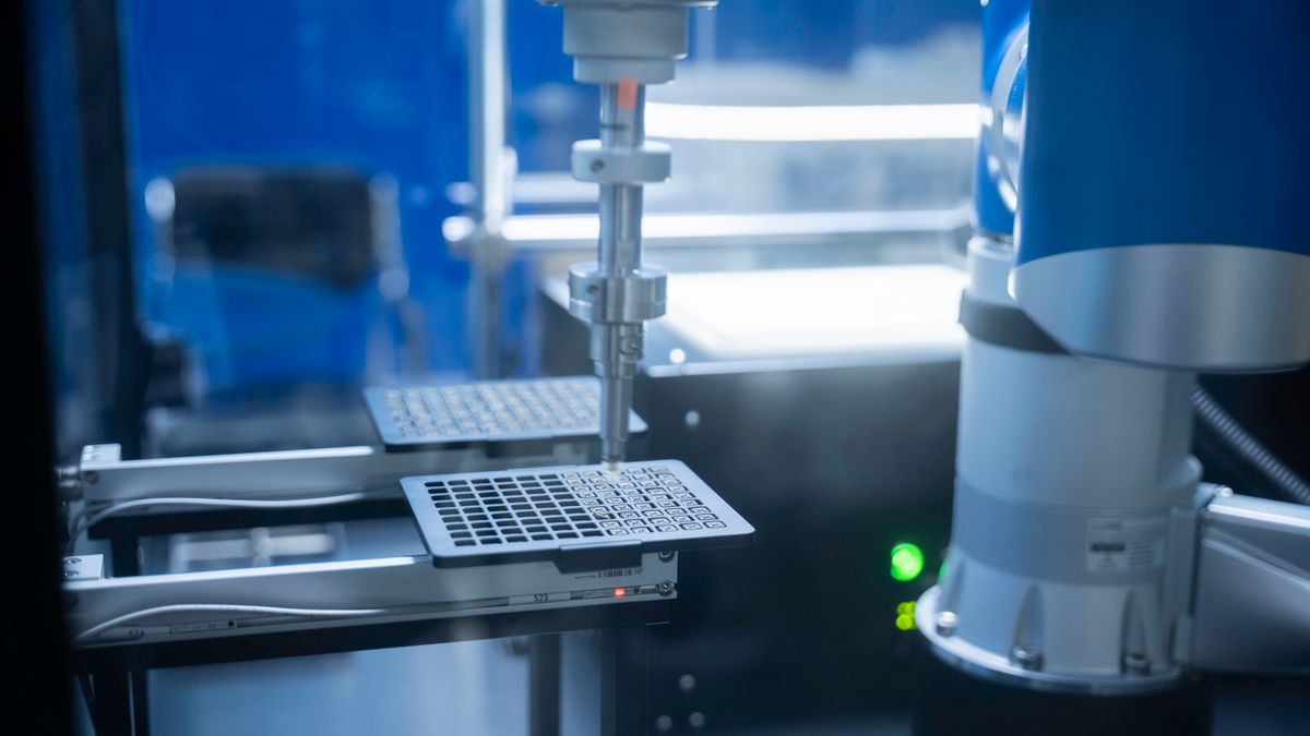 PG聚鑫汇官网版：《银杏树下的秘密》